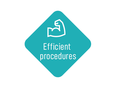 Efficient_procedures